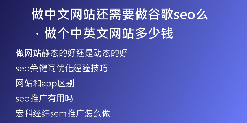 做中文网站还需要做谷歌seo么,做个中英文网站多少钱