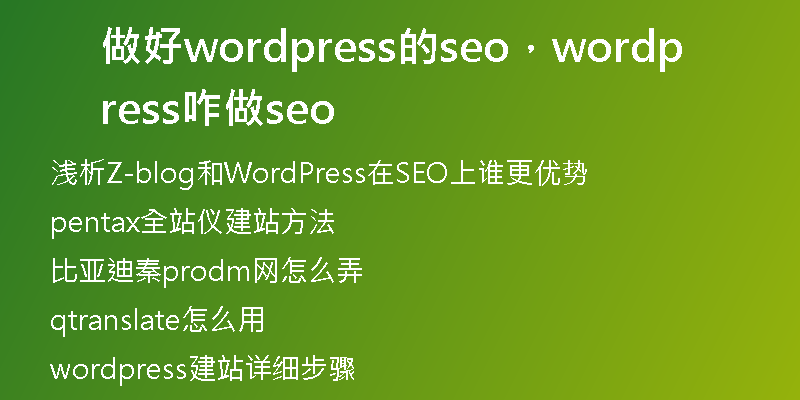 做好wordpress的seo，wordpress咋做seo